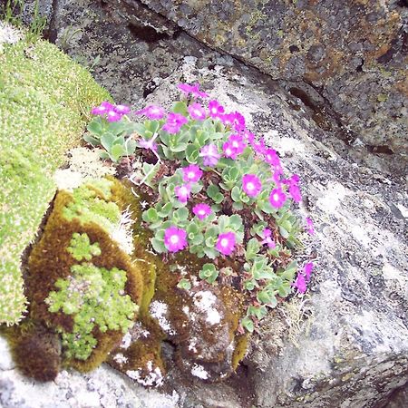 Les Clarines Perceneige - Chambre D'Hotes Vue Sur Montagne & Spa Saint-Jacques-en-Valgodemard Екстер'єр фото